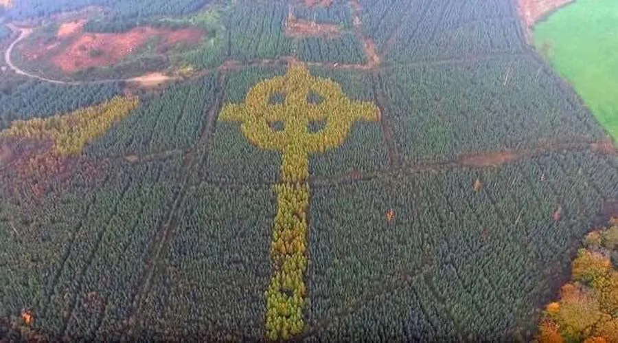 Celtic Cross Forest