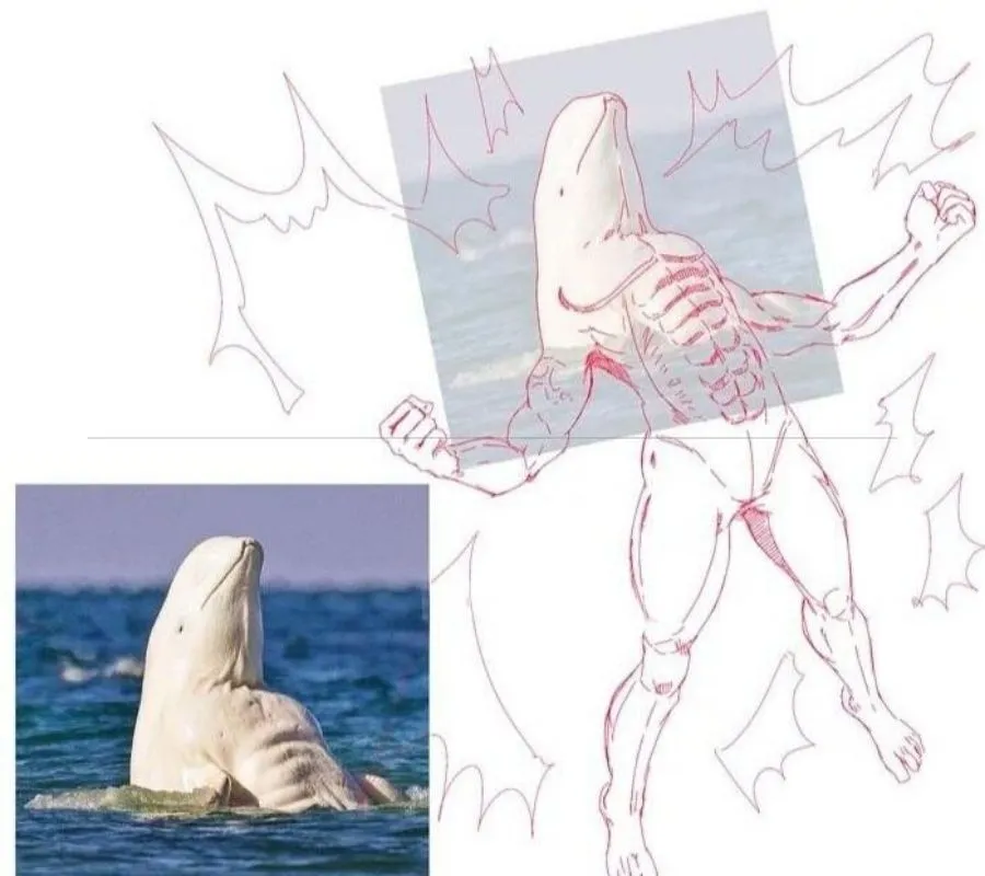 artist makes belugas look really strong