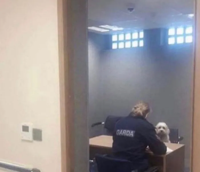 dog in the police station