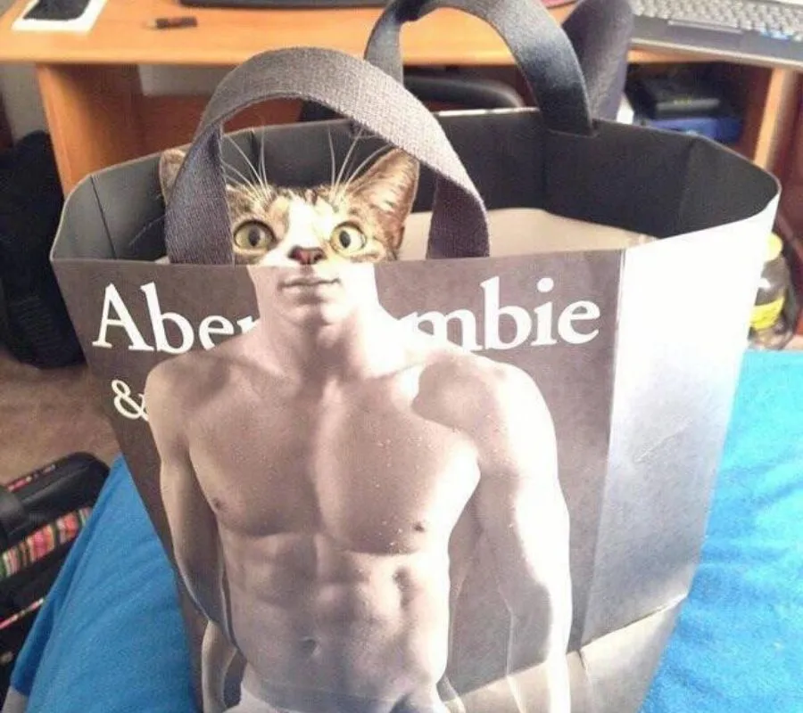 a cat peaking over a bag makes it look like he has a muscular body