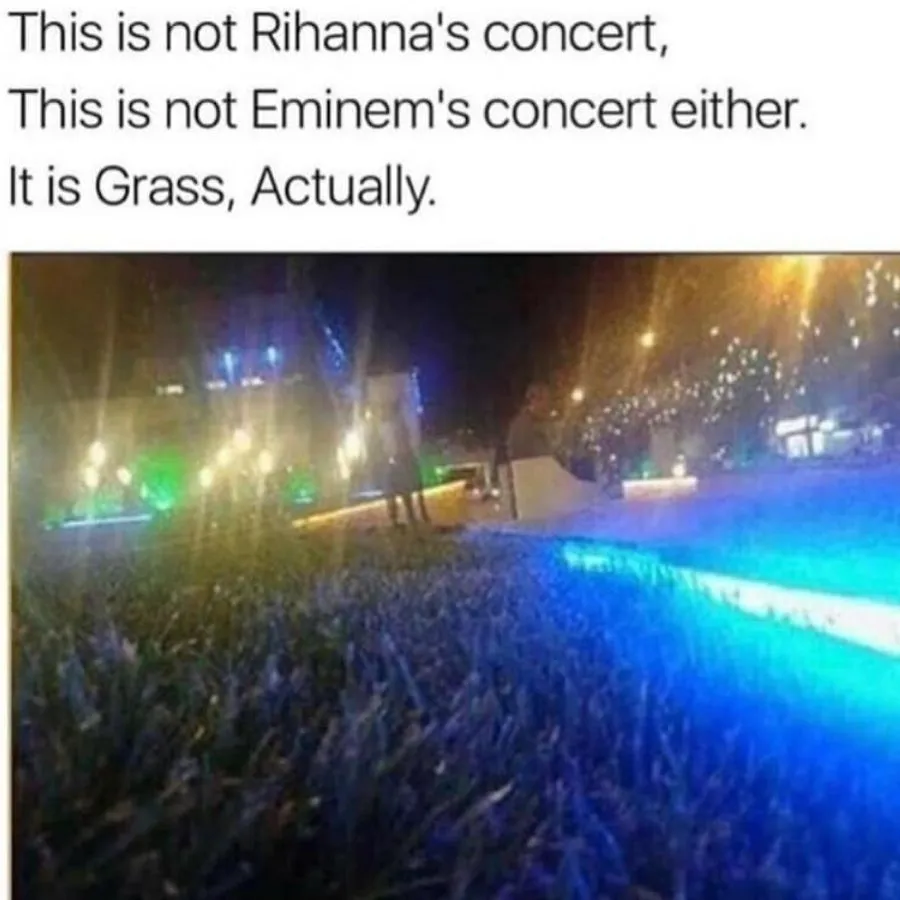 picture of grass with blue light that looks like a crowd at a concert