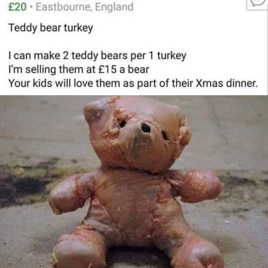 teddy bear made out of raw turkey meat