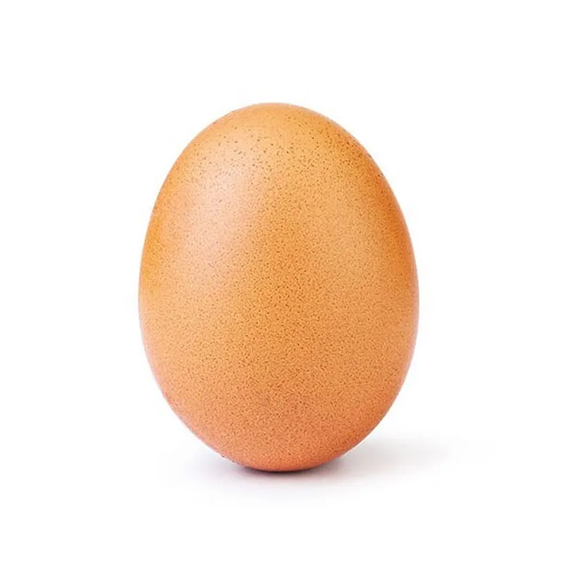 record breaking egg 