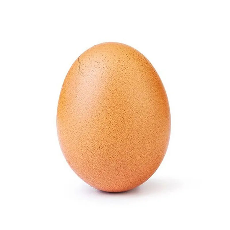 this egg has a crack 