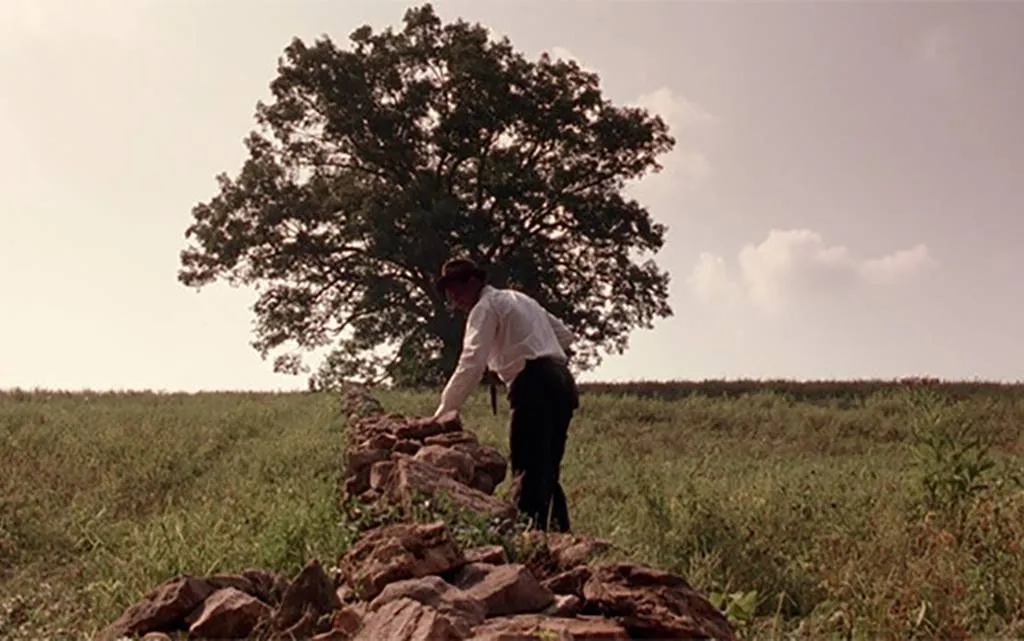 morgan freeman in front of a tree