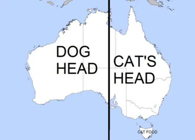 australian cat and dog shape