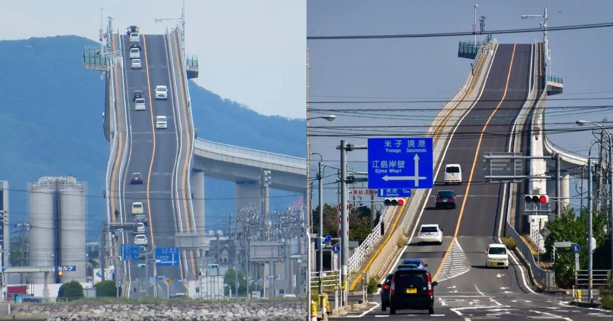 ohasi bridge